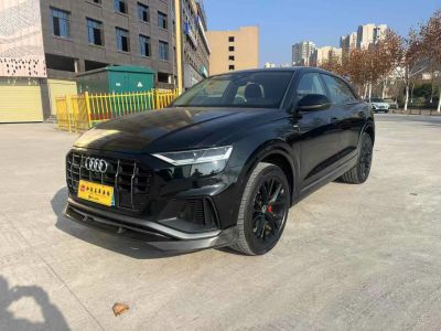 2021年1月 奧迪 奧迪SQ5(進(jìn)口) 3.0 TFSI quattro圖片