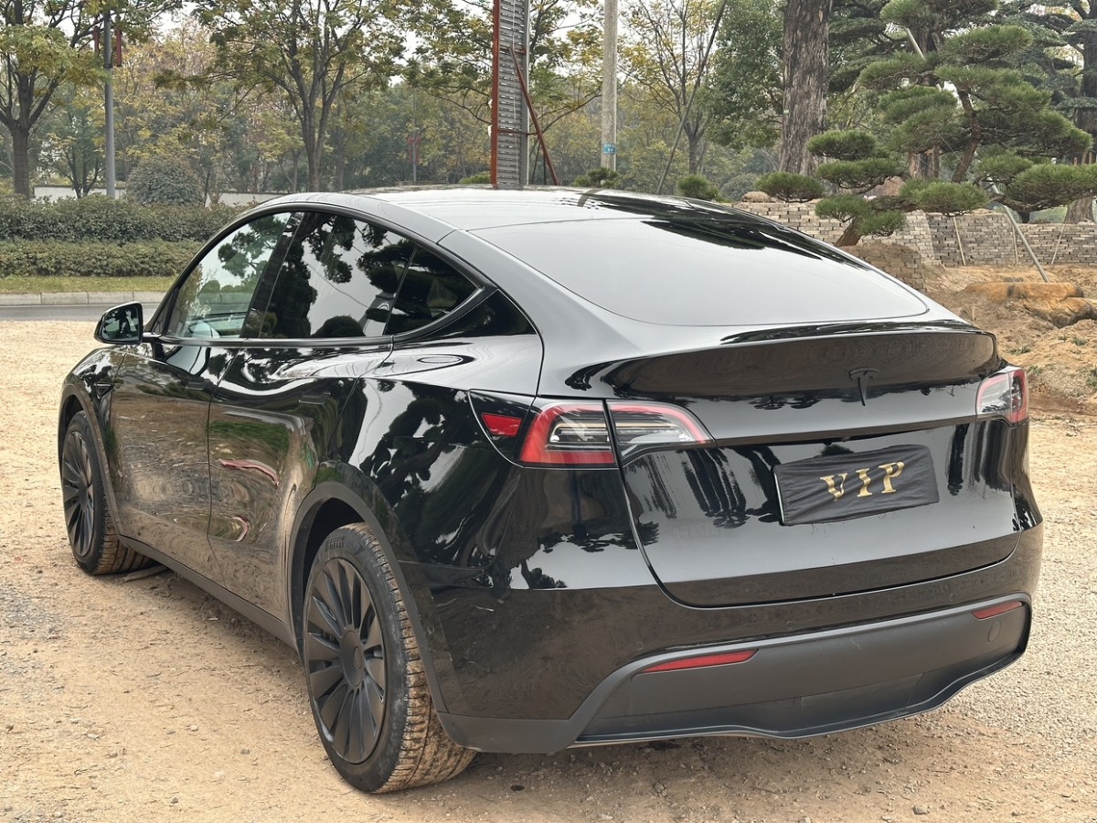 特斯拉 Model Y  2022款 后驅(qū)版圖片