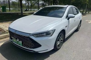 秦PLUS 比亞迪 DM-i 55KM 旗艦型