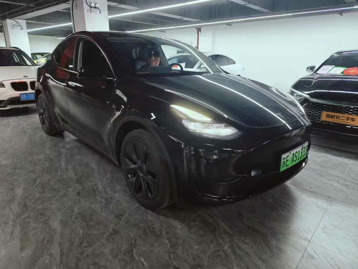 特斯拉 Model Y  2024款 Performance高性能版圖片