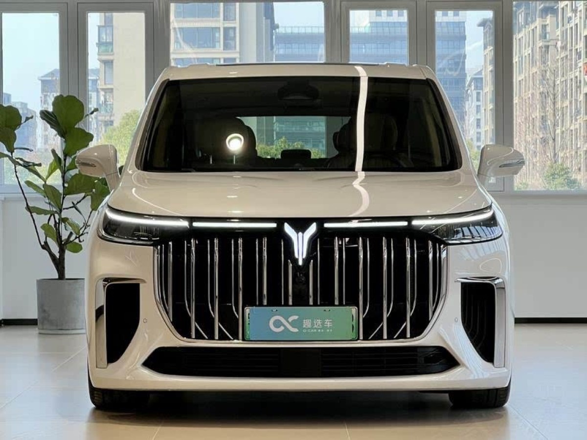 嵐圖 夢想家  2024款 PHEV 超長續(xù)航旗艦版圖片