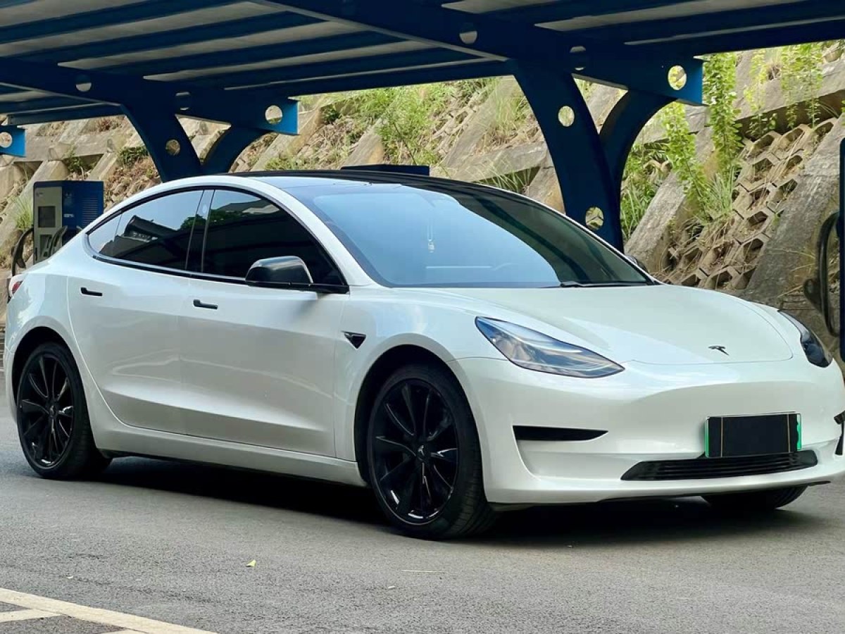 特斯拉 Model 3  2020款 改款 標(biāo)準(zhǔn)續(xù)航后驅(qū)升級版圖片