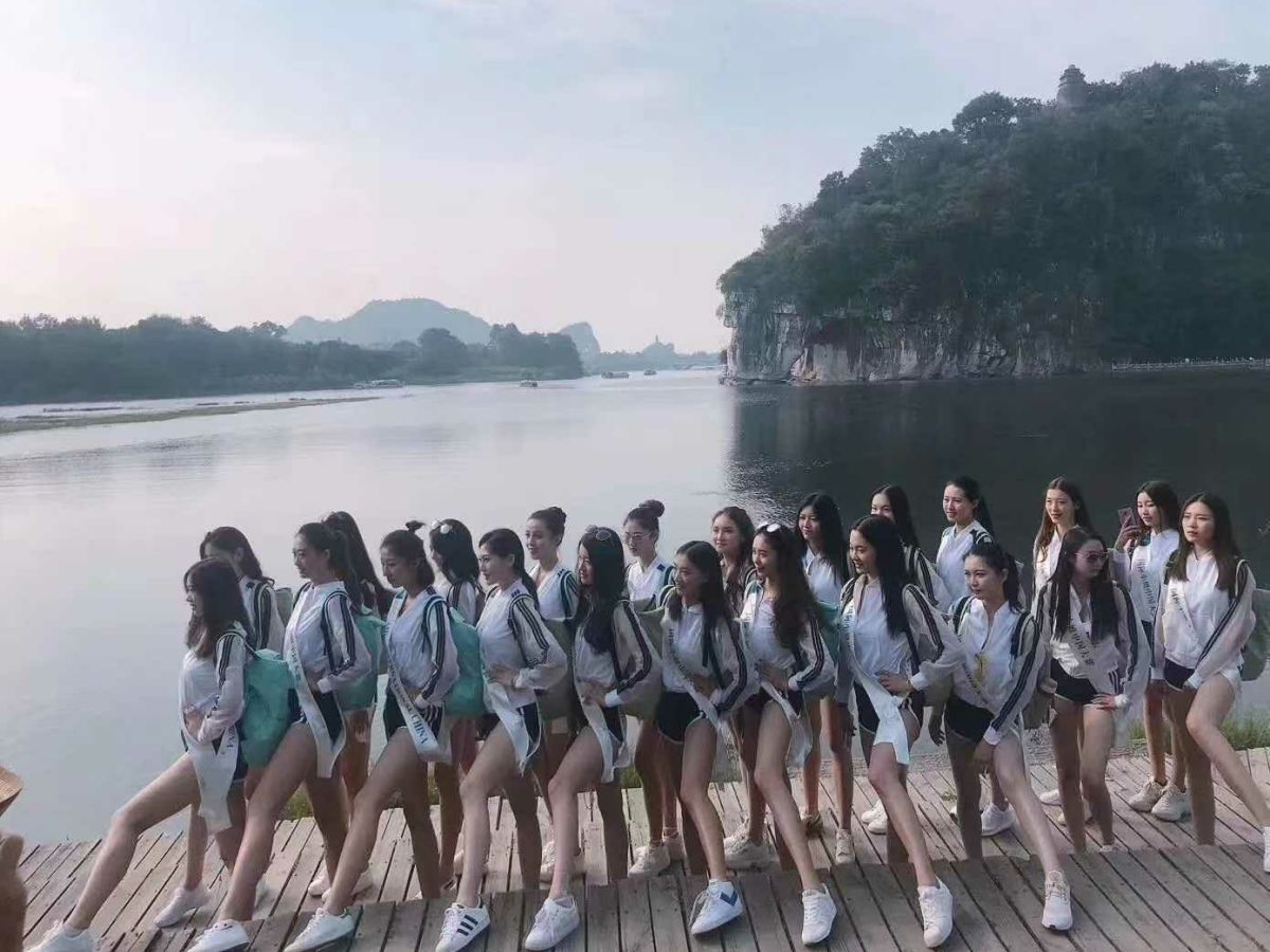 陸風(fēng) 逍遙  2018款 1.5GTDI CVT全景白銀版圖片