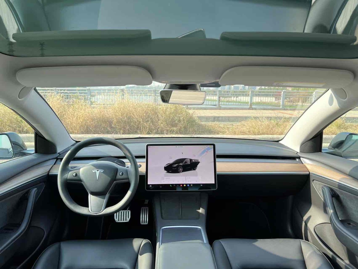 特斯拉 Model 3  2019款 Performance高性能全輪驅(qū)動版圖片