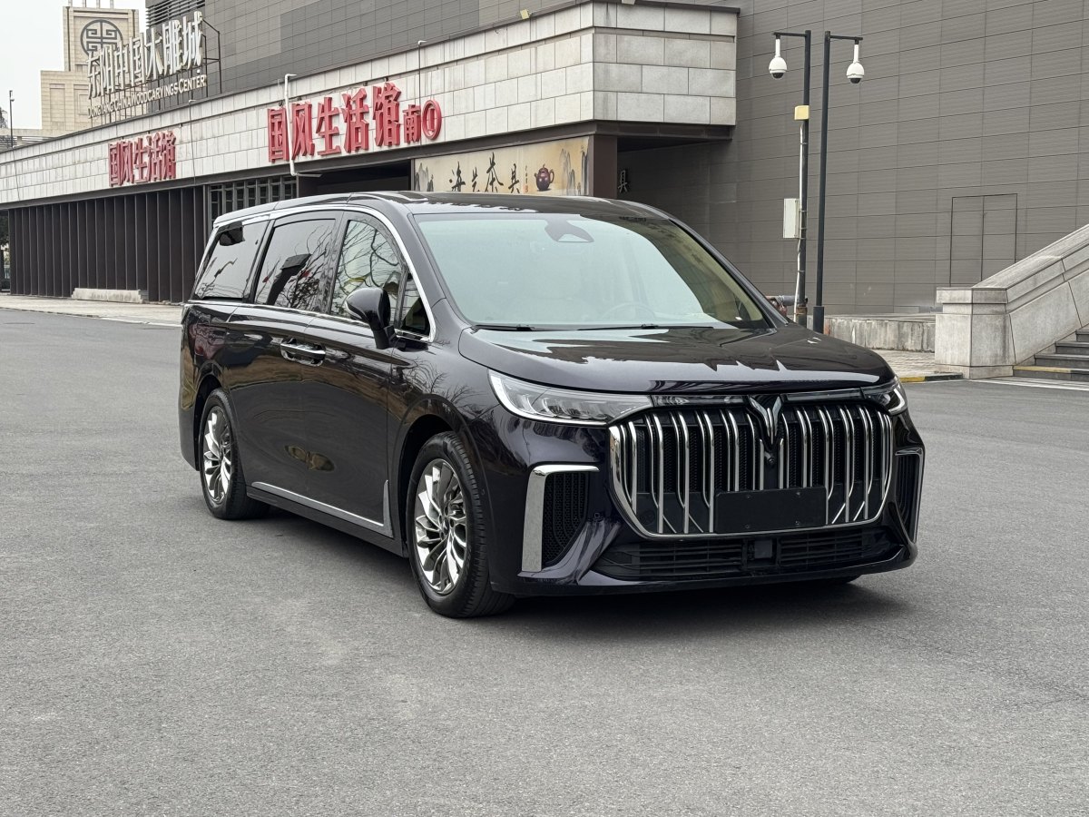 嵐圖 夢(mèng)想家  2024款 PHEV 超長(zhǎng)續(xù)航旗艦版圖片