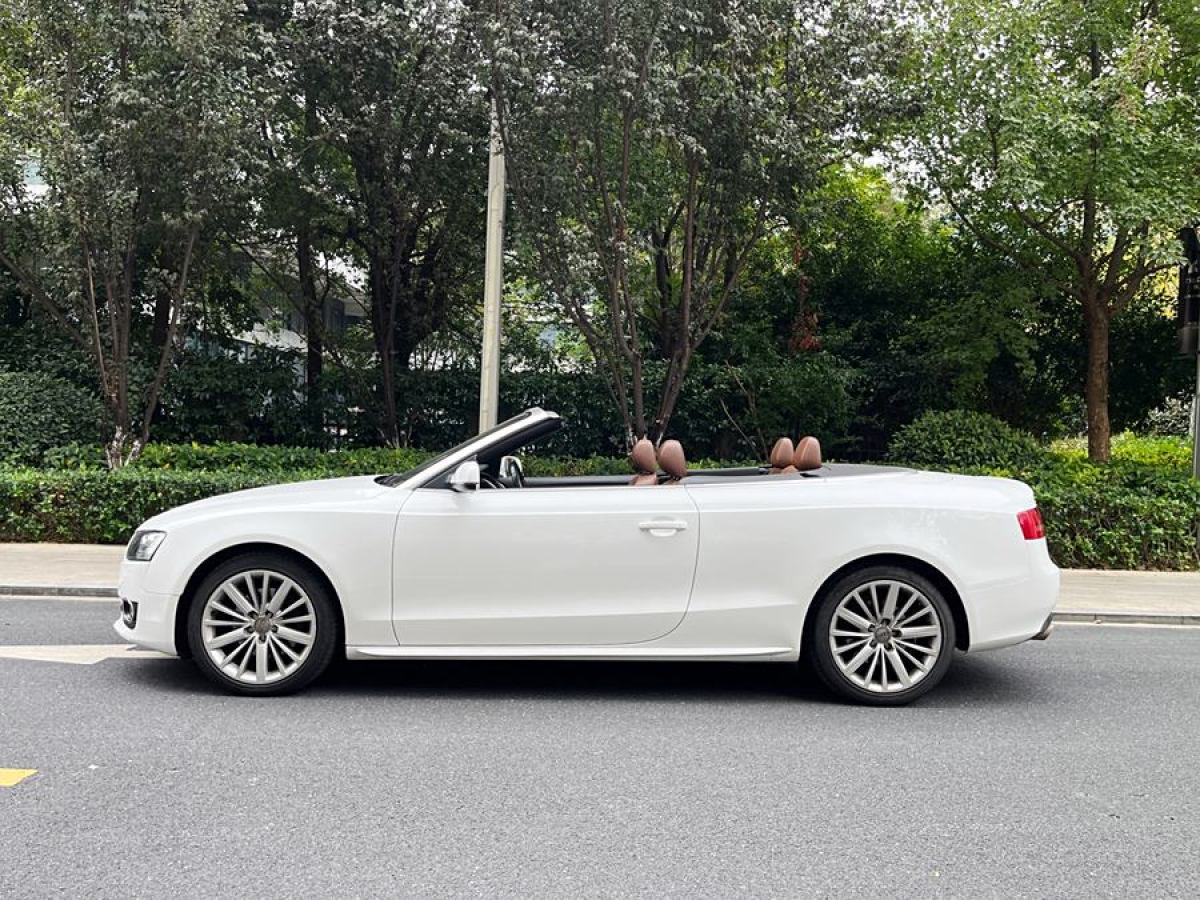 奧迪 奧迪A5  2010款 2.0TFSI Cabriolet圖片