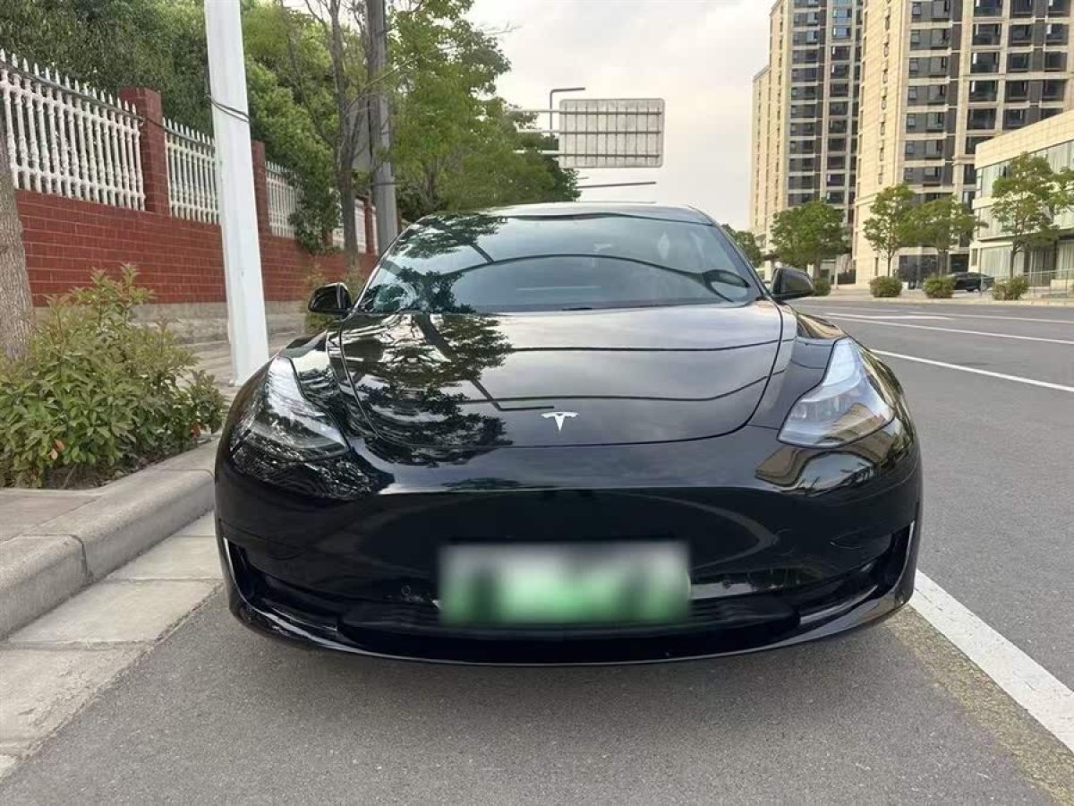 特斯拉 Model 3  2021款 改款 標(biāo)準(zhǔn)續(xù)航后驅(qū)升級(jí)版圖片