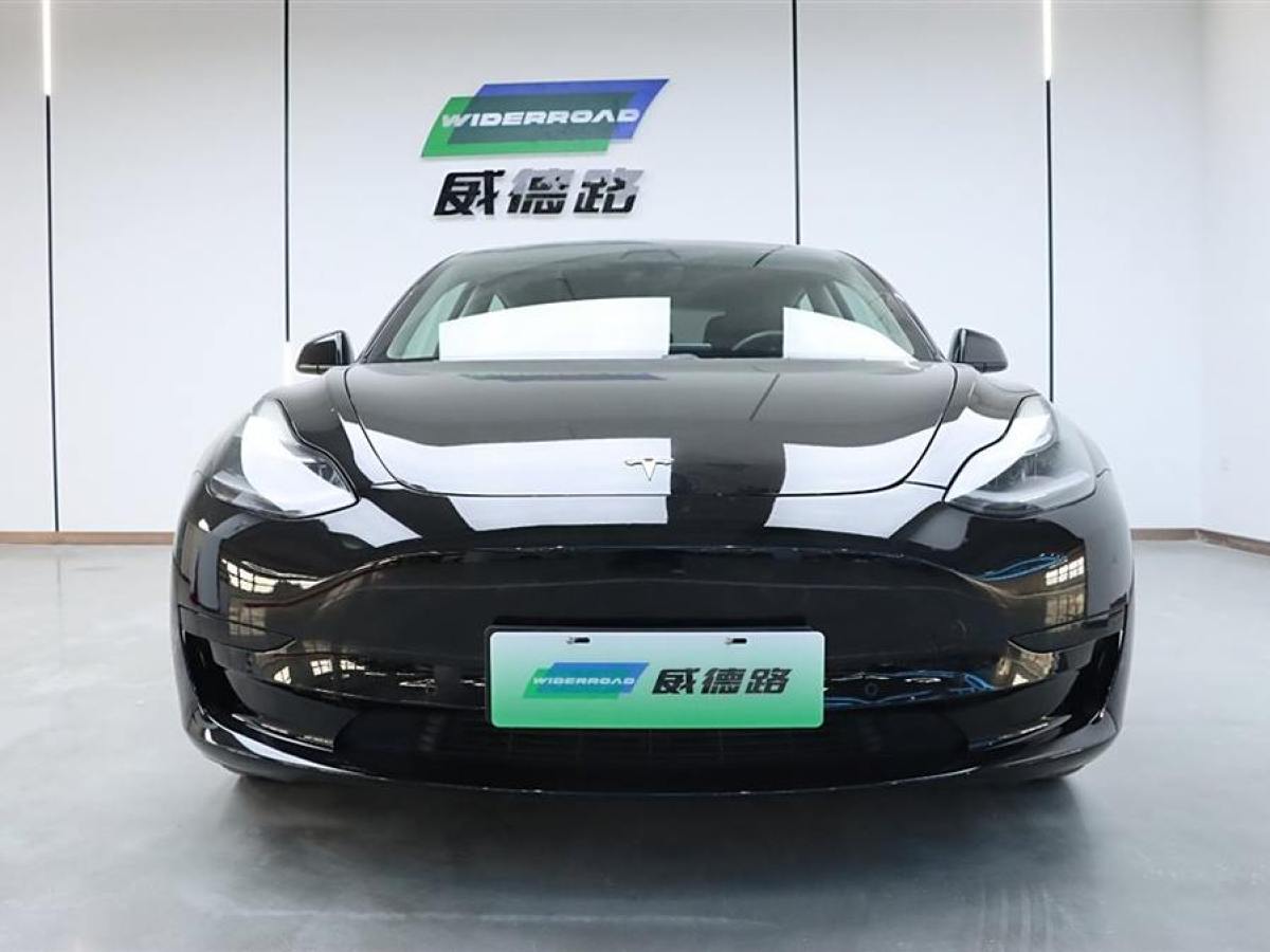 特斯拉 Model 3  2021款 改款 標(biāo)準(zhǔn)續(xù)航后驅(qū)升級(jí)版圖片