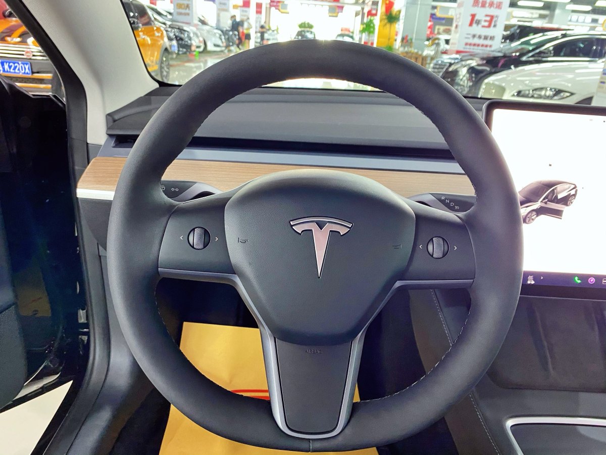 特斯拉 Model 3  2019款 標(biāo)準(zhǔn)續(xù)航后驅(qū)升級(jí)版圖片