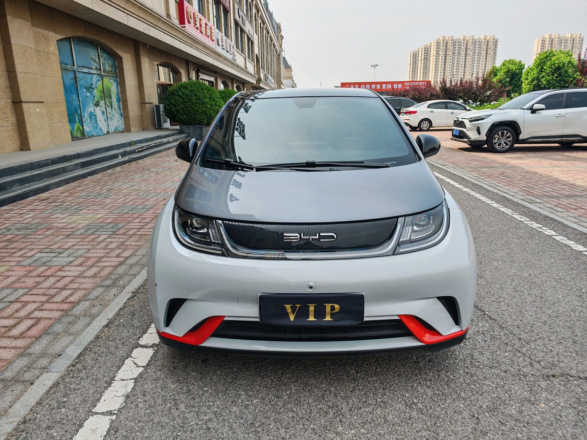 2022年2月比亞迪 海豚  2021款 405km 時(shí)尚版