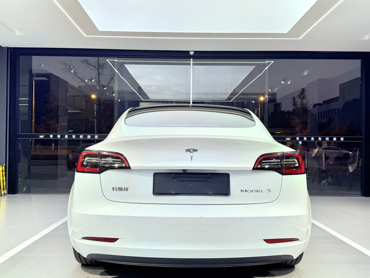 特斯拉 Model 3  2019款 標(biāo)準(zhǔn)續(xù)航后驅(qū)升級(jí)版圖片