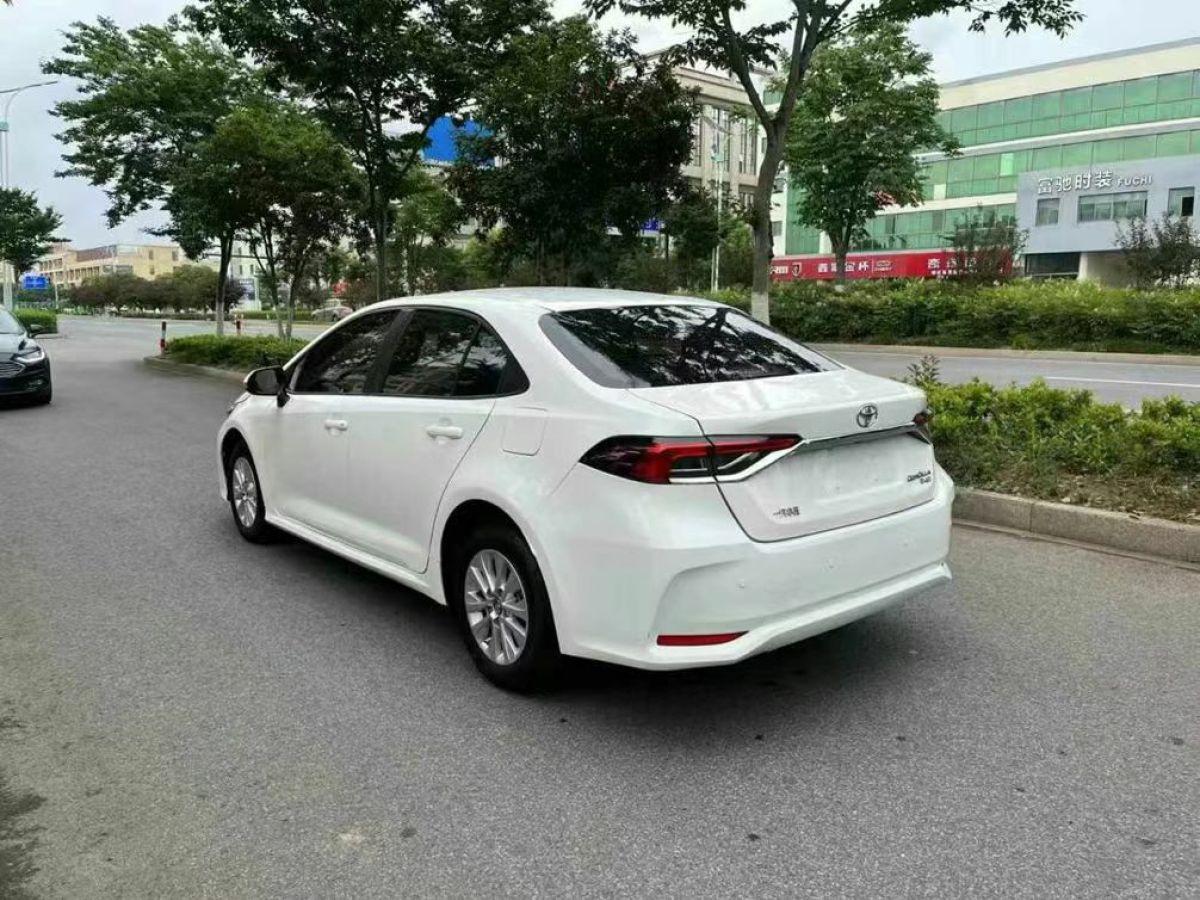 豐田 卡羅拉  2020款 基本型圖片