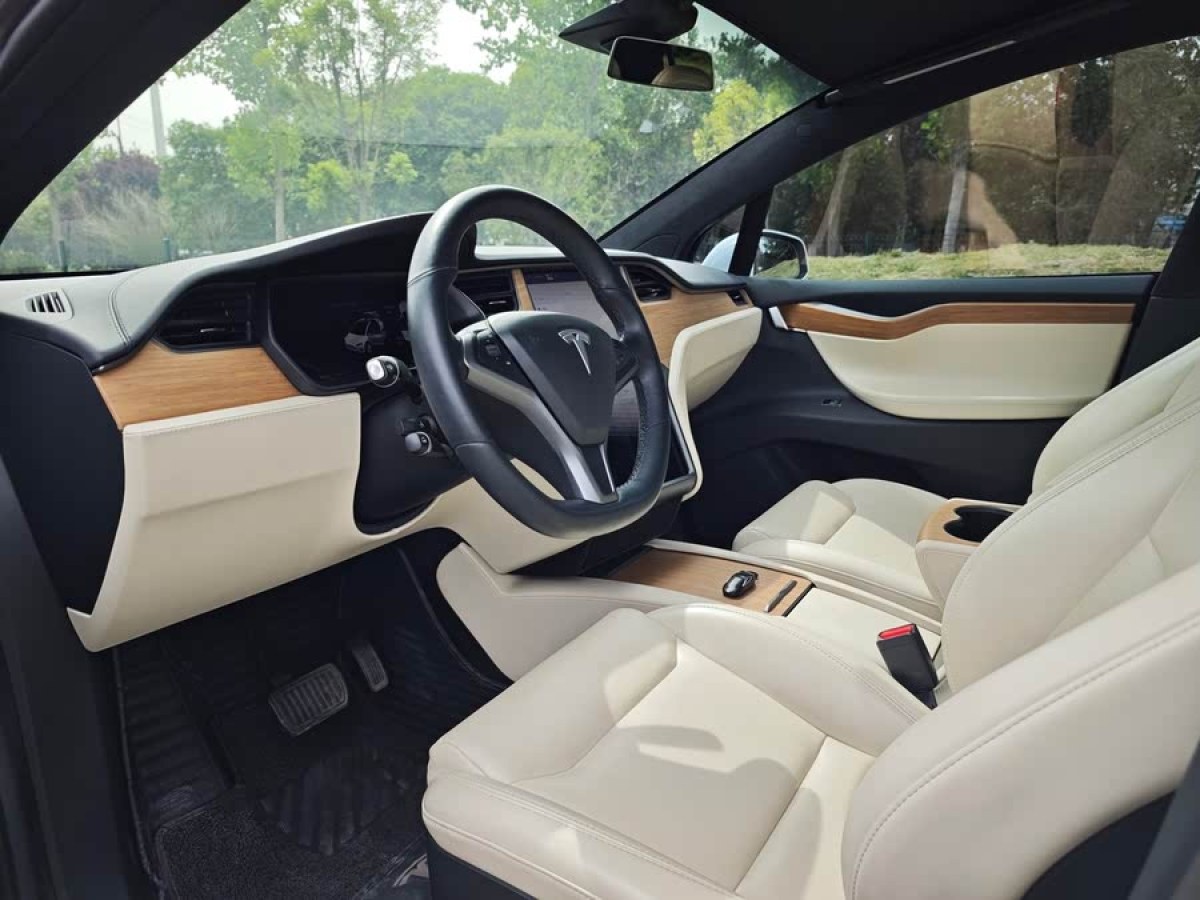 特斯拉 Model X  2019款 長續(xù)航版圖片