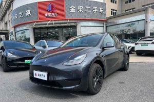 Model Y 特斯拉 改款 长续航后轮驱动版