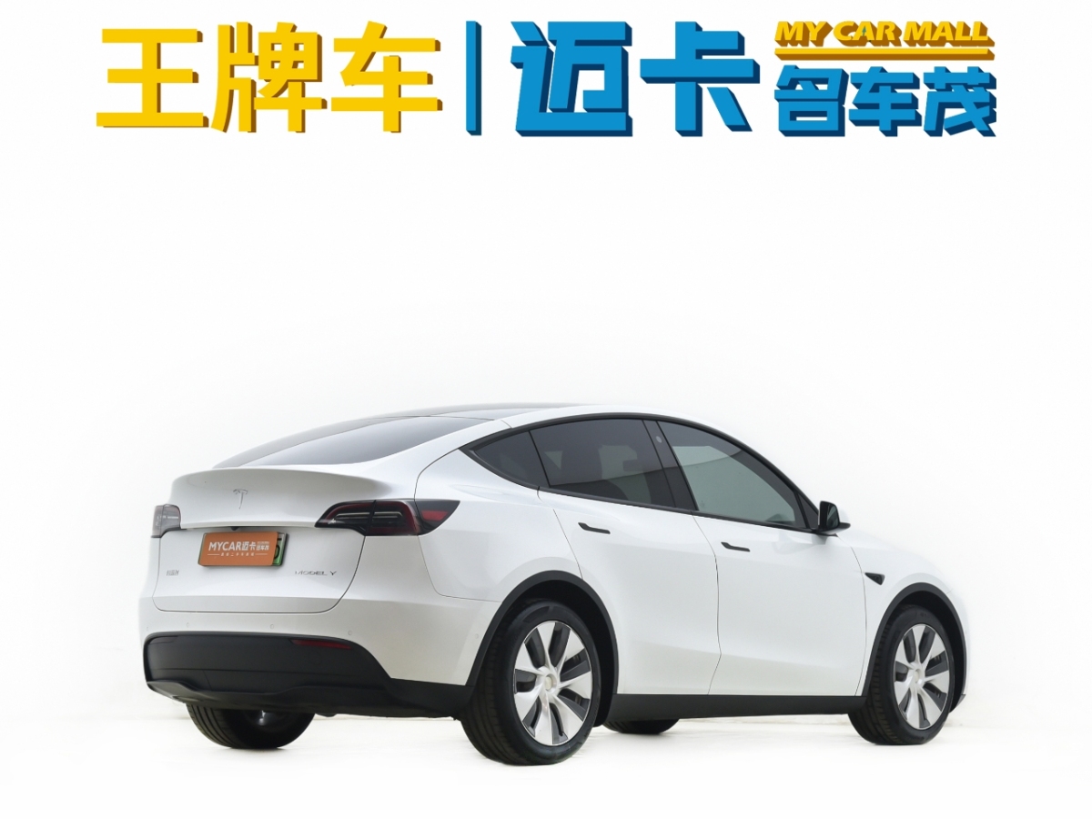 2021年4月特斯拉 Model 3  2021款 長(zhǎng)續(xù)航全輪驅(qū)動(dòng)版 3D7