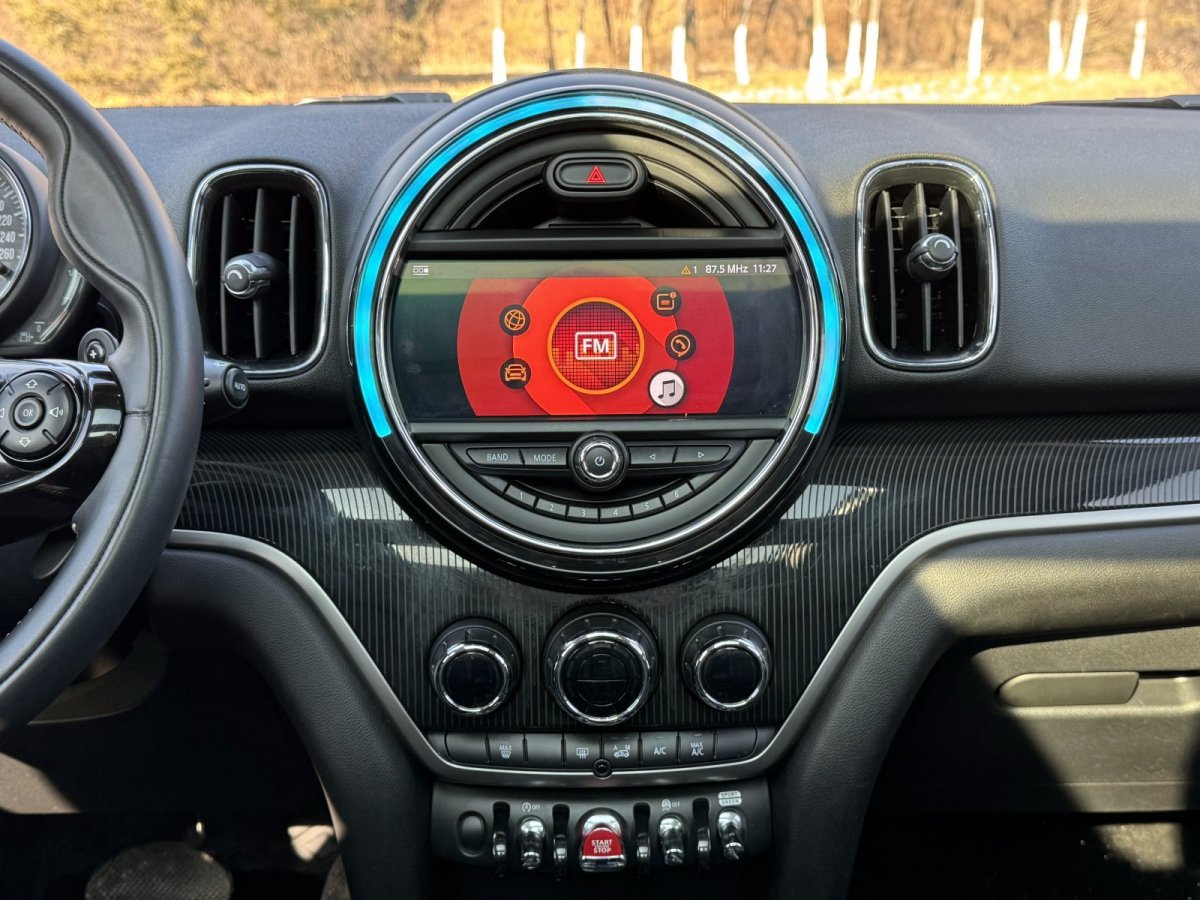 MINI COUNTRYMAN  2019款 2.0T COOPER S ALL4 藝術(shù)家圖片