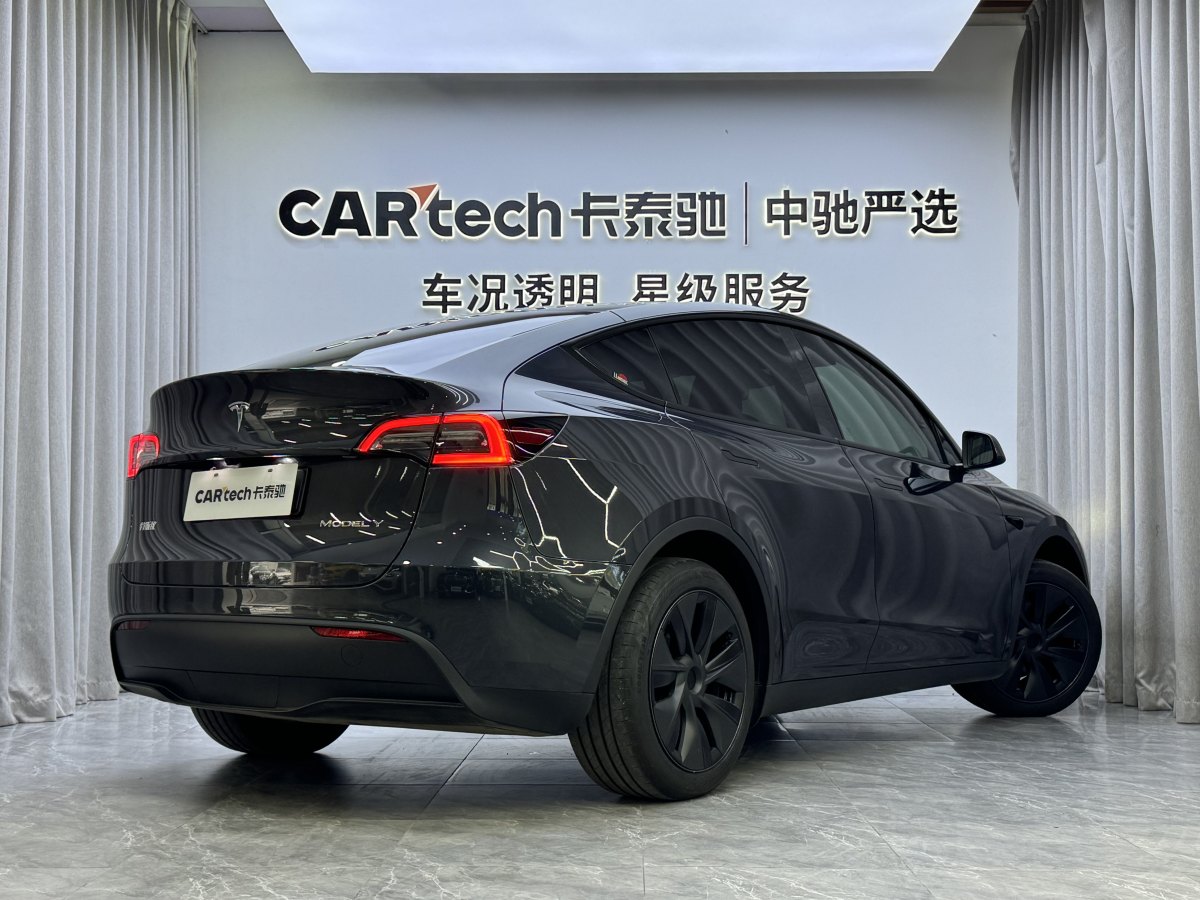 特斯拉 Model Y  2020款 改款 長續(xù)航后輪驅(qū)動版圖片