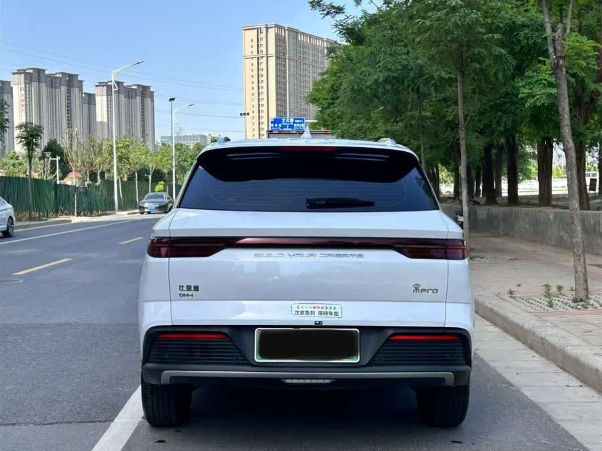 比亞迪 宋Pro新能源  2024款 榮耀版 DM-i 110KM卓越型圖片