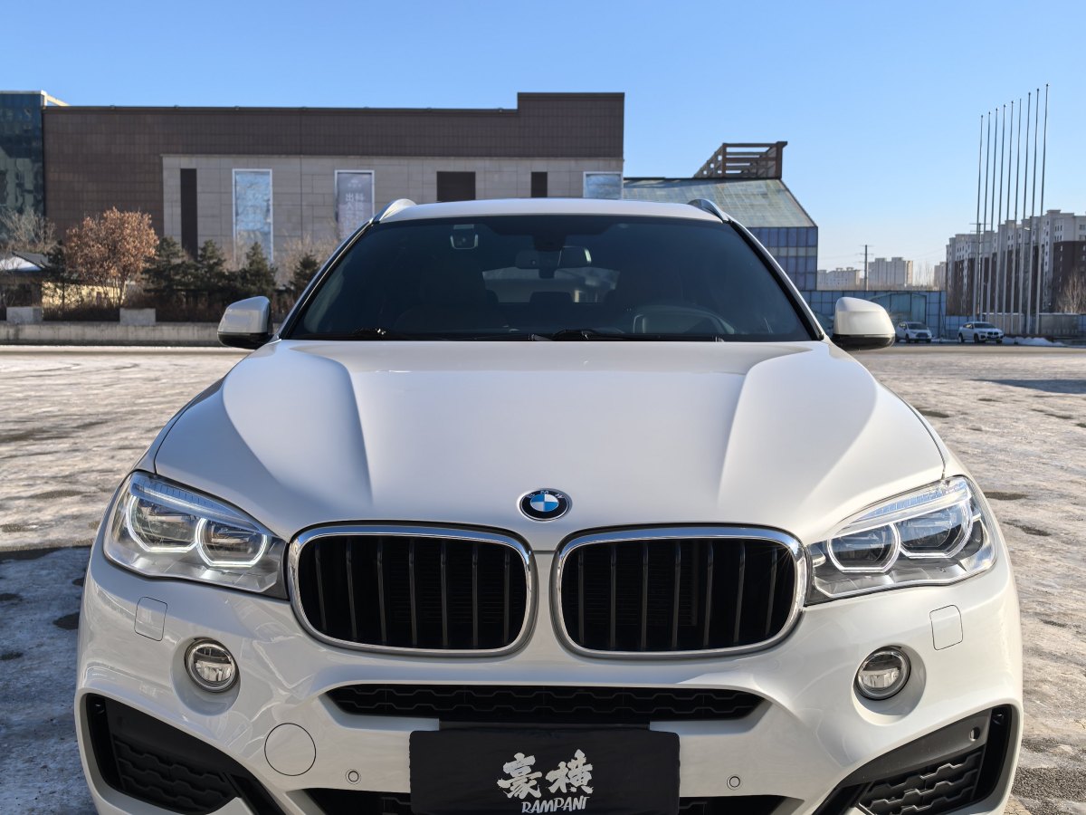 寶馬 寶馬X6  2015款 xDrive35i 豪華型圖片