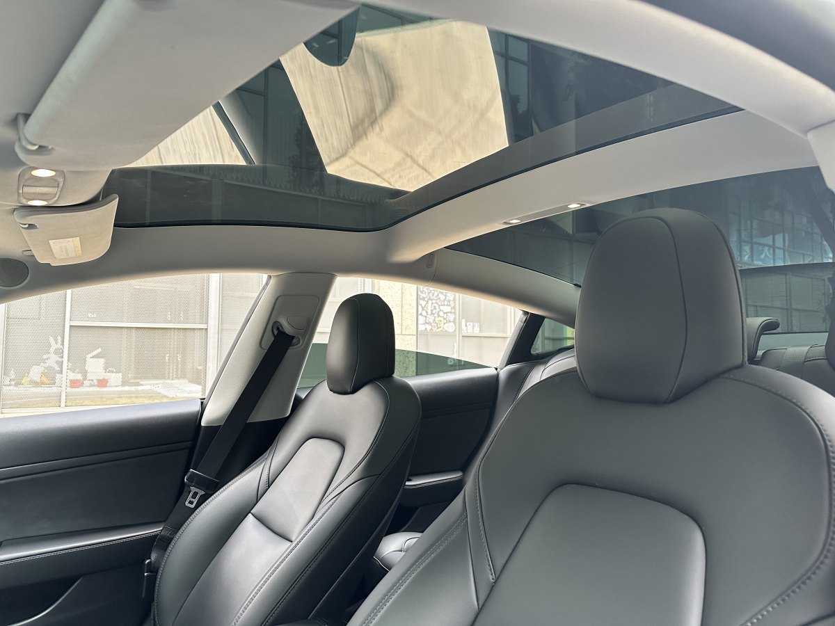 特斯拉 Model 3  2019款 標(biāo)準(zhǔn)續(xù)航后驅(qū)升級(jí)版圖片