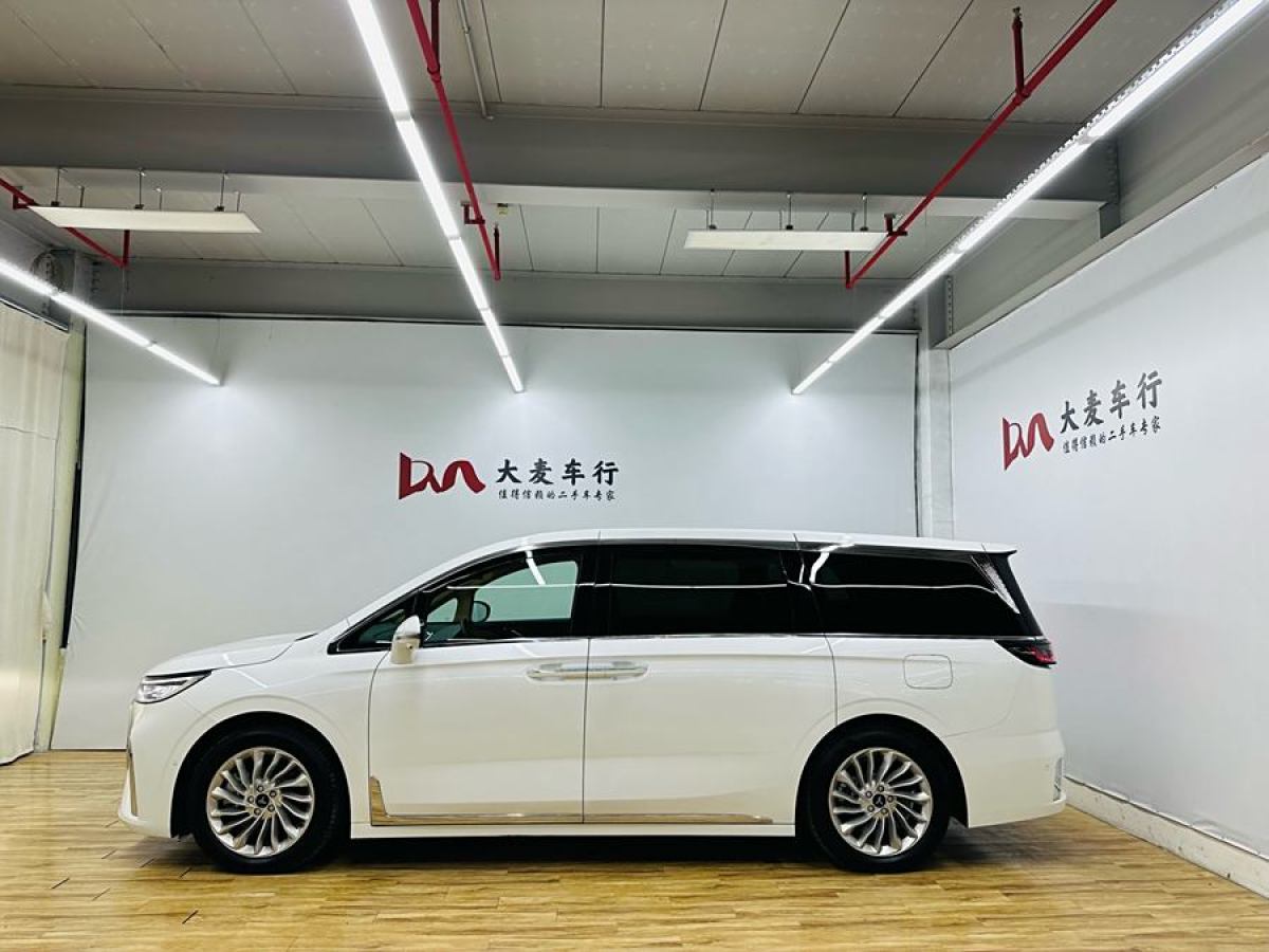 嵐圖 夢想家  2024款 PHEV 超長續(xù)航尊貴版圖片