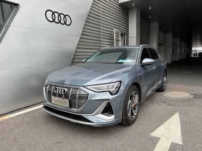 2021年10月 奥迪 奥迪e-tron 50 quattro 臻选型图片