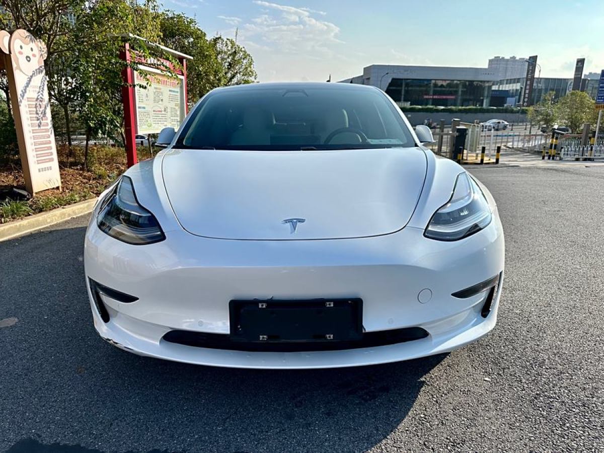 特斯拉 Model 3  2019款 長續(xù)航后驅版圖片