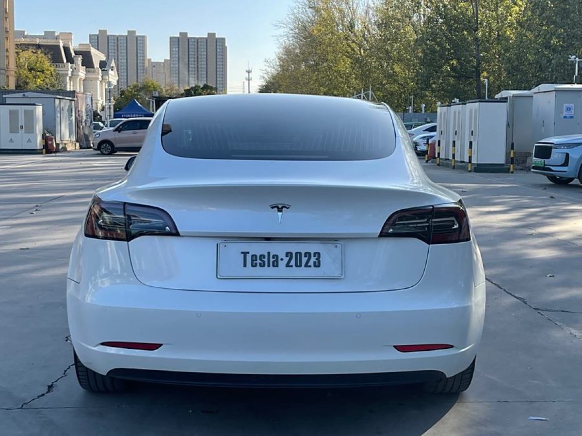 特斯拉 Model 3  2019款 標準續(xù)航后驅升級版圖片