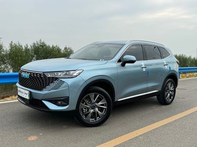 2022年10月 哈弗 哈弗H6新能源 DHT-PHEV 110KM 悅行版圖片