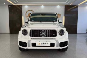 奔驰G级AMG 奔驰 AMG G 63