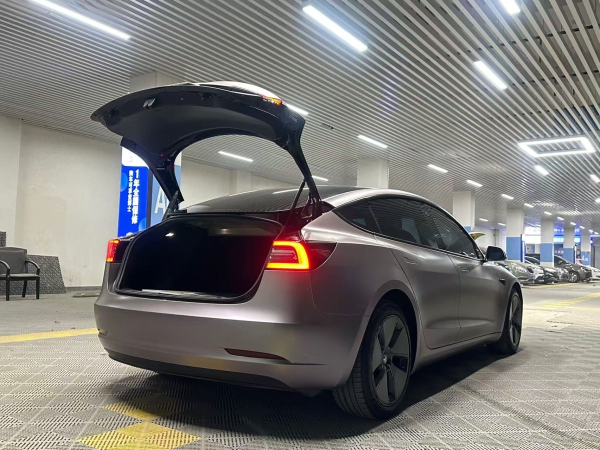 特斯拉 Model 3  2019款 標(biāo)準(zhǔn)續(xù)航后驅(qū)升級版圖片