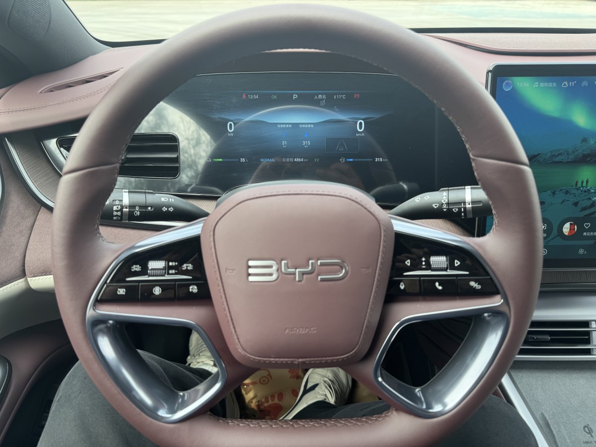比亞迪 海豹  2023款 DM-i 1.5L 121km 尊貴型圖片
