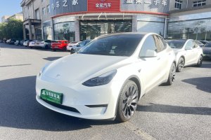 Model 3 特斯拉 Performance高性能全輪驅(qū)動(dòng)版