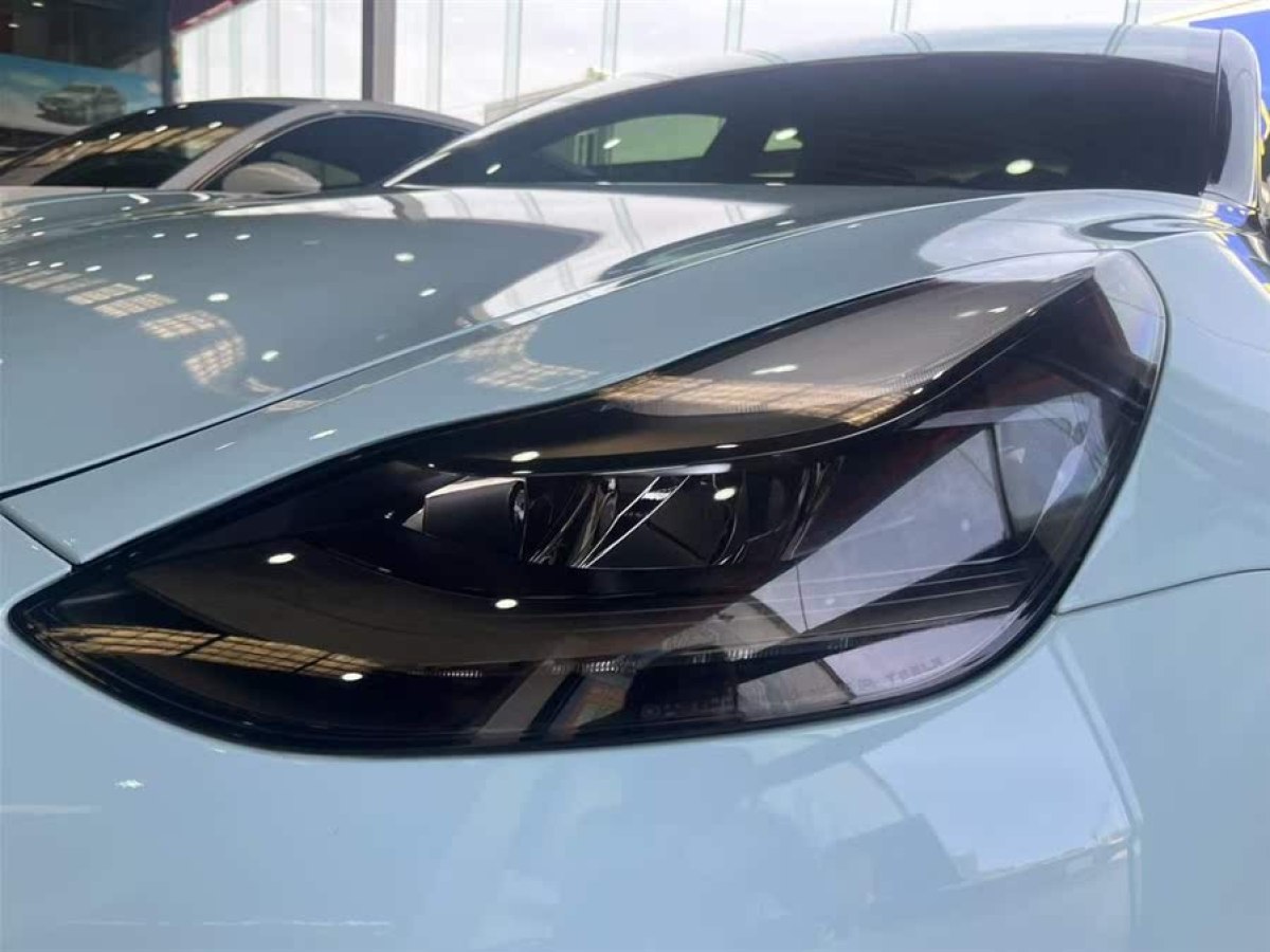特斯拉 Model 3  2021款 改款 標(biāo)準(zhǔn)續(xù)航后驅(qū)升級(jí)版圖片