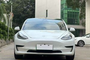 Model 3 特斯拉 標(biāo)準(zhǔn)續(xù)航后驅(qū)升級(jí)版