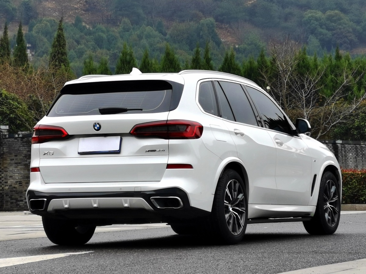 宝马 宝马X5  2019款 xDrive40i M运动套装图片