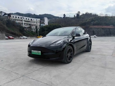 2023年3月 特斯拉 Model Y 圖片