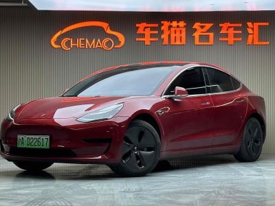 2020年4月 特斯拉 Model 3 標(biāo)準(zhǔn)續(xù)航后驅(qū)升級(jí)版圖片