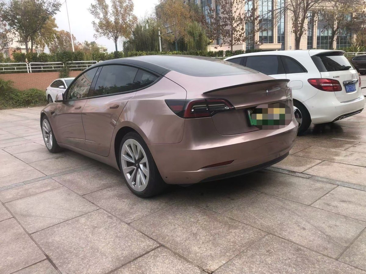 特斯拉 Model 3  2019款 標(biāo)準(zhǔn)續(xù)航后驅(qū)升級版圖片