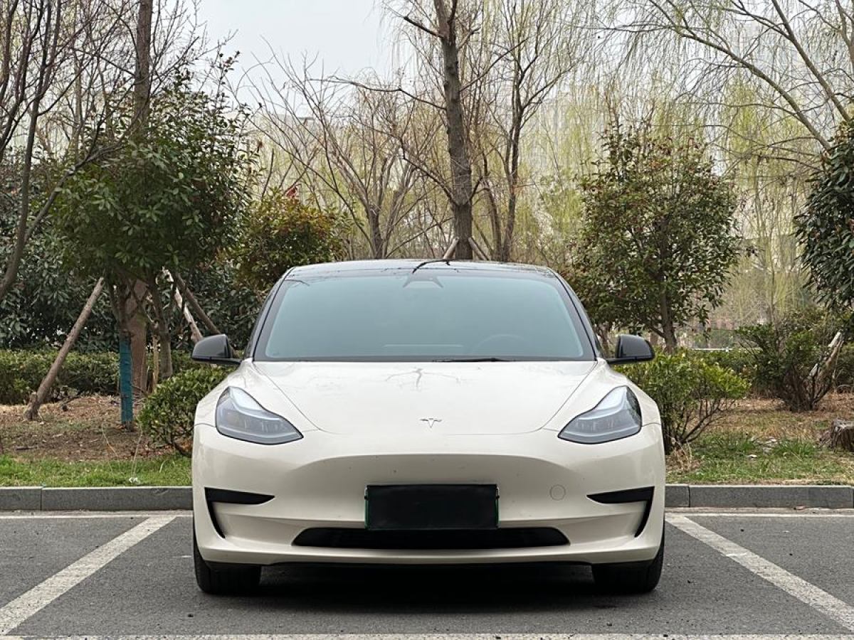 2021年9月特斯拉 Model 3  2021款 改款 標(biāo)準(zhǔn)續(xù)航后驅(qū)升級(jí)版