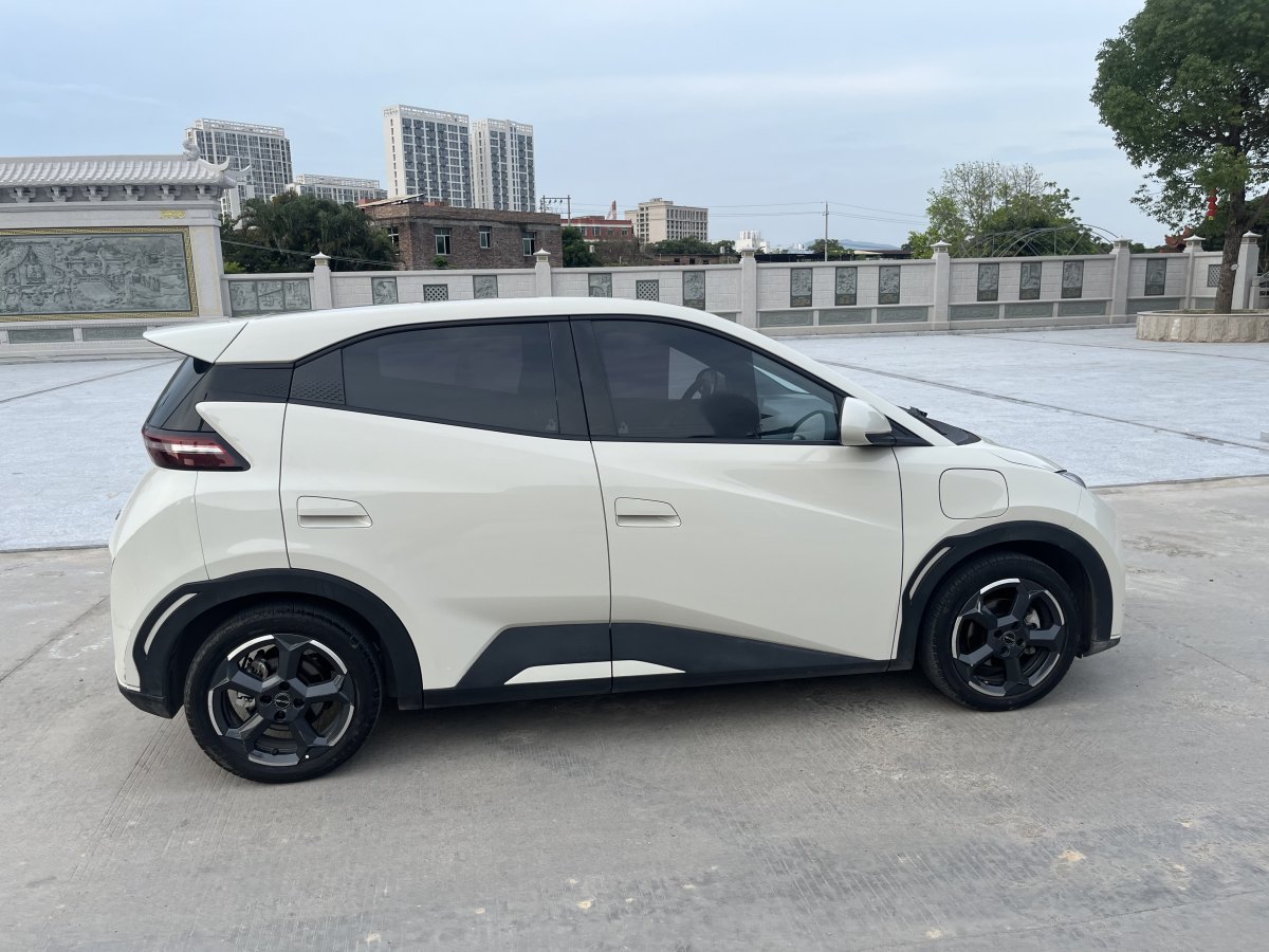 比亞迪 海鷗  2023款 飛翔版圖片