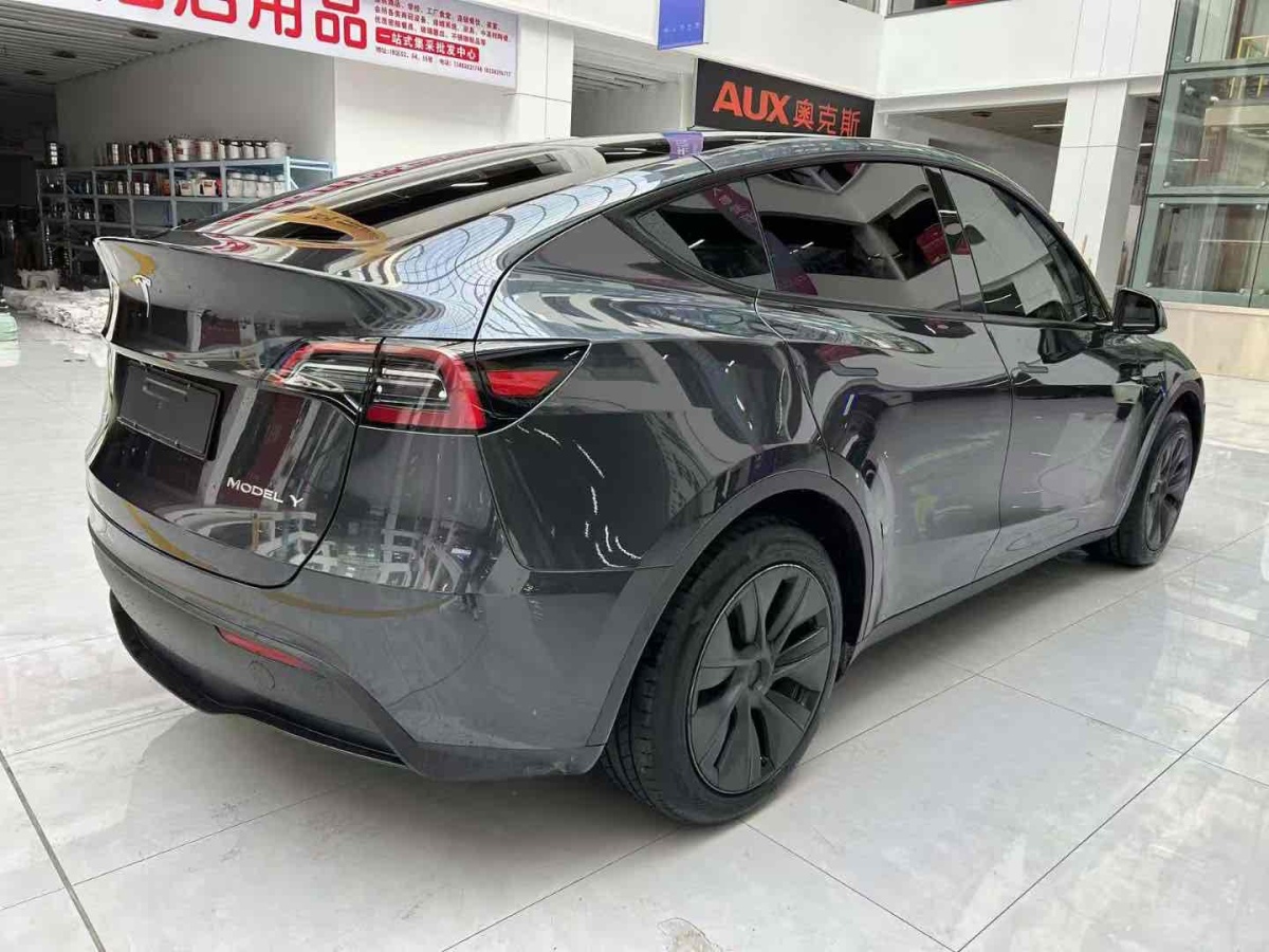 特斯拉 Model Y  2020款 改款 長續(xù)航后輪驅(qū)動版圖片