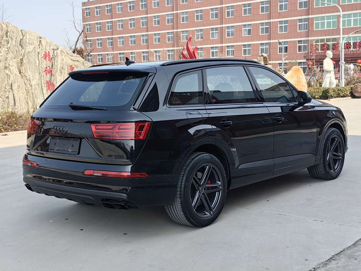 奧迪 奧迪Q7  2018款 45 TFSI 技術(shù)型圖片