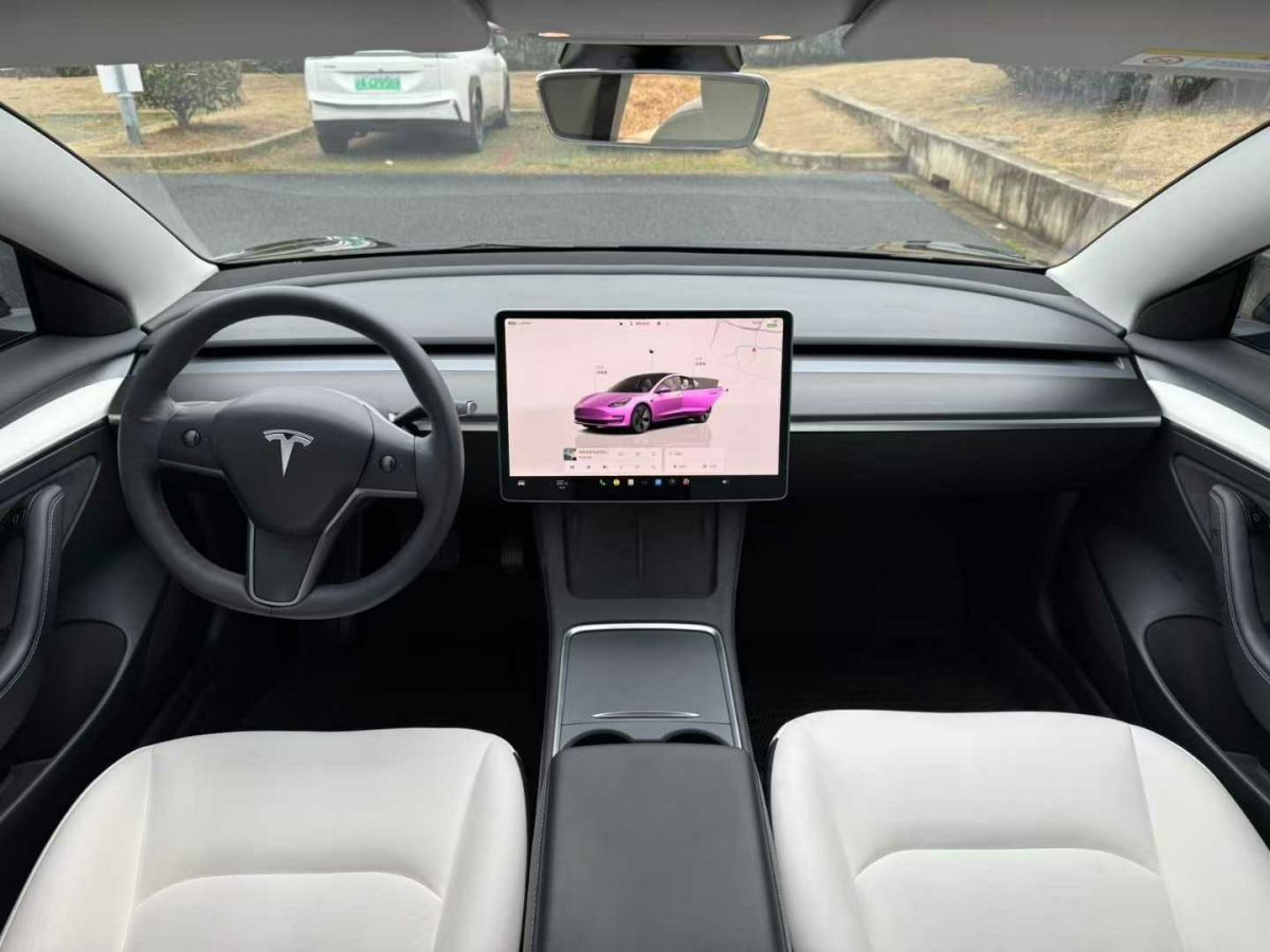 特斯拉 Model 3  2022款 Performance高性能全輪驅(qū)動(dòng)版圖片