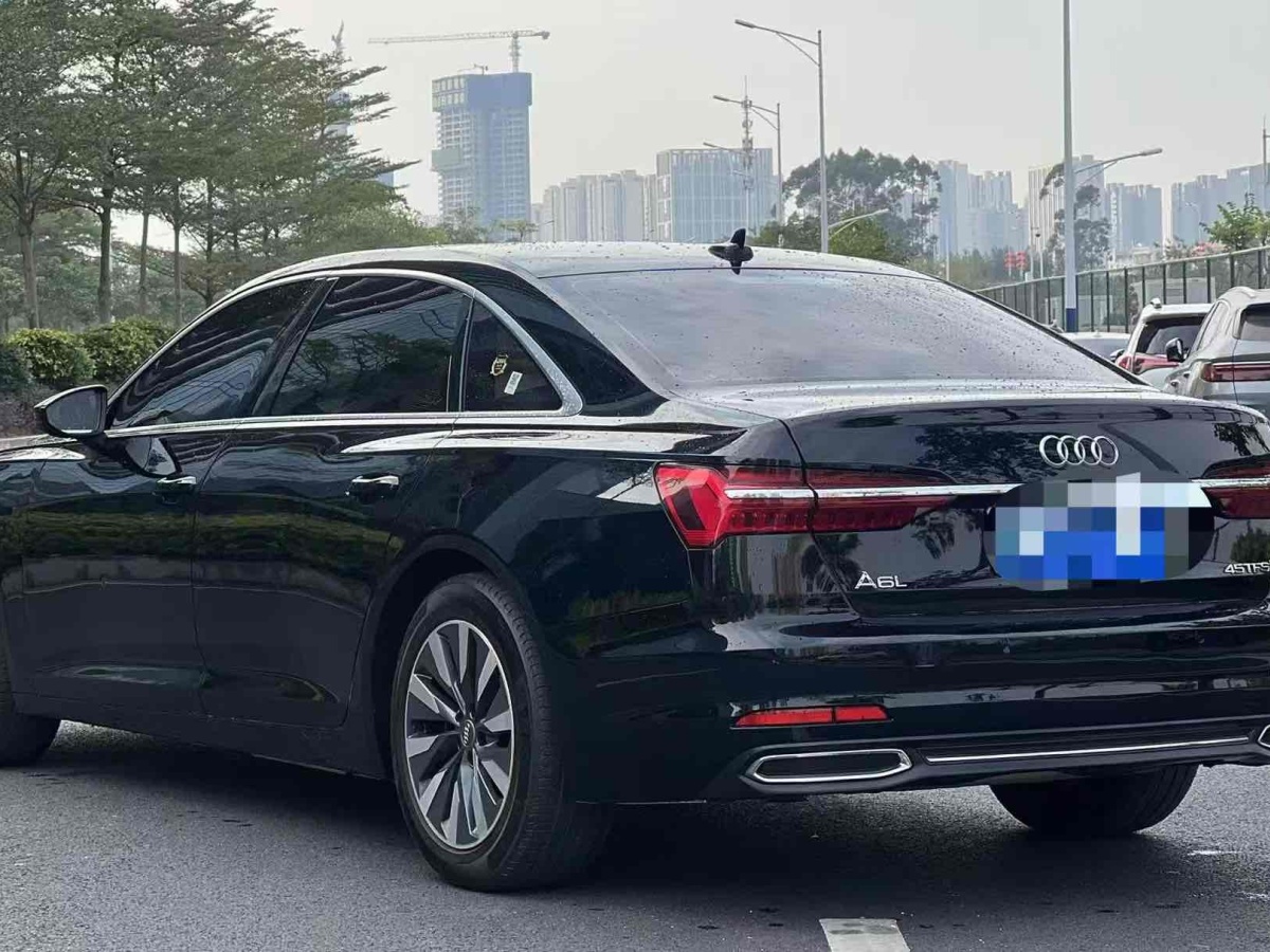 奧迪 奧迪A6L  2019款 45 TFSI 臻選致雅型圖片