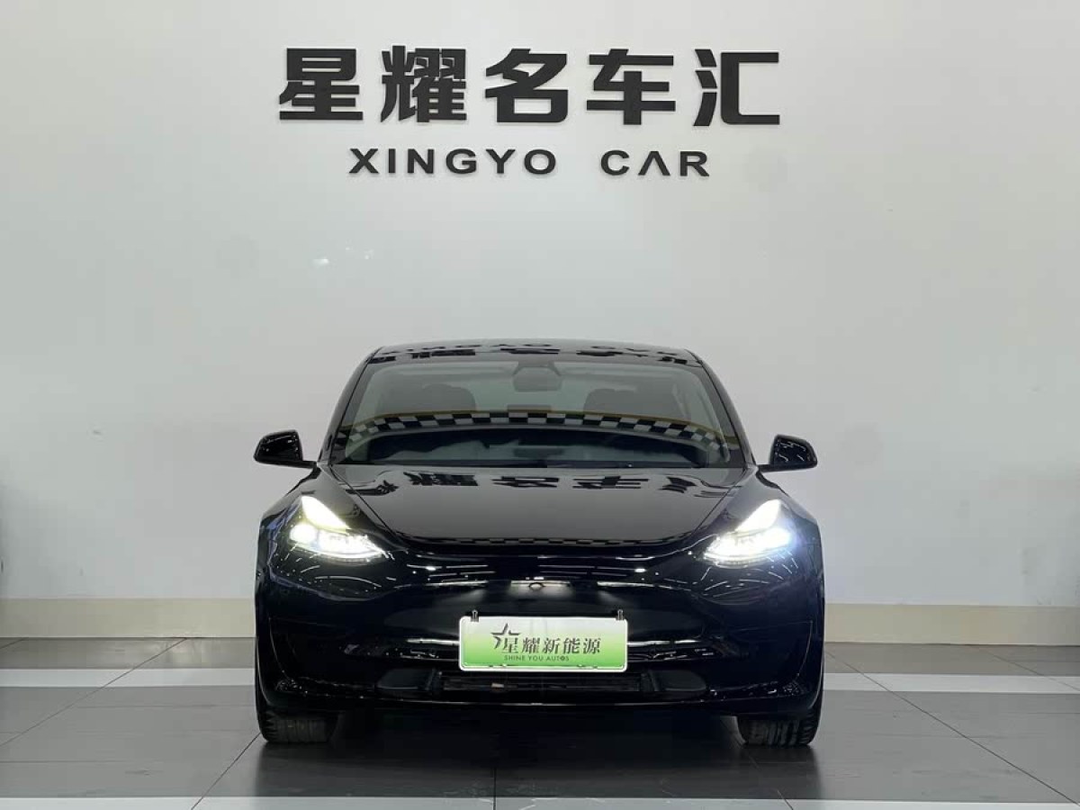 特斯拉 Model 3  2021款 標(biāo)準(zhǔn)續(xù)航后驅(qū)升級(jí)版 3D6圖片