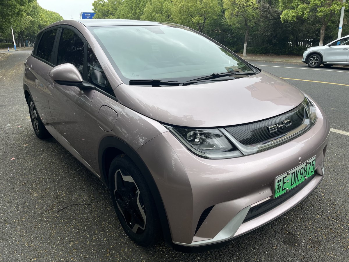 比亞迪 海豚  2021款 405km 時(shí)尚版圖片