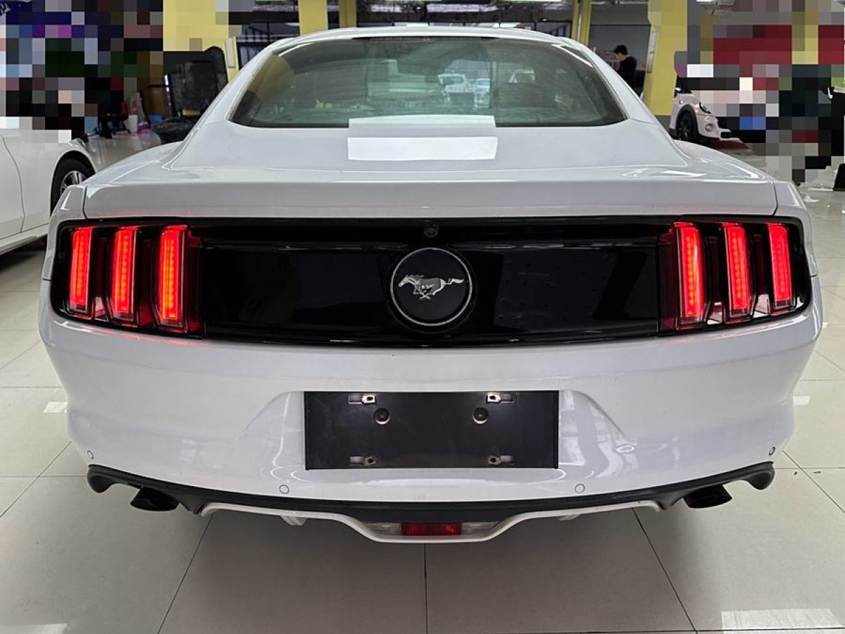 福特 Mustang  2015款 2.3T 性能版圖片