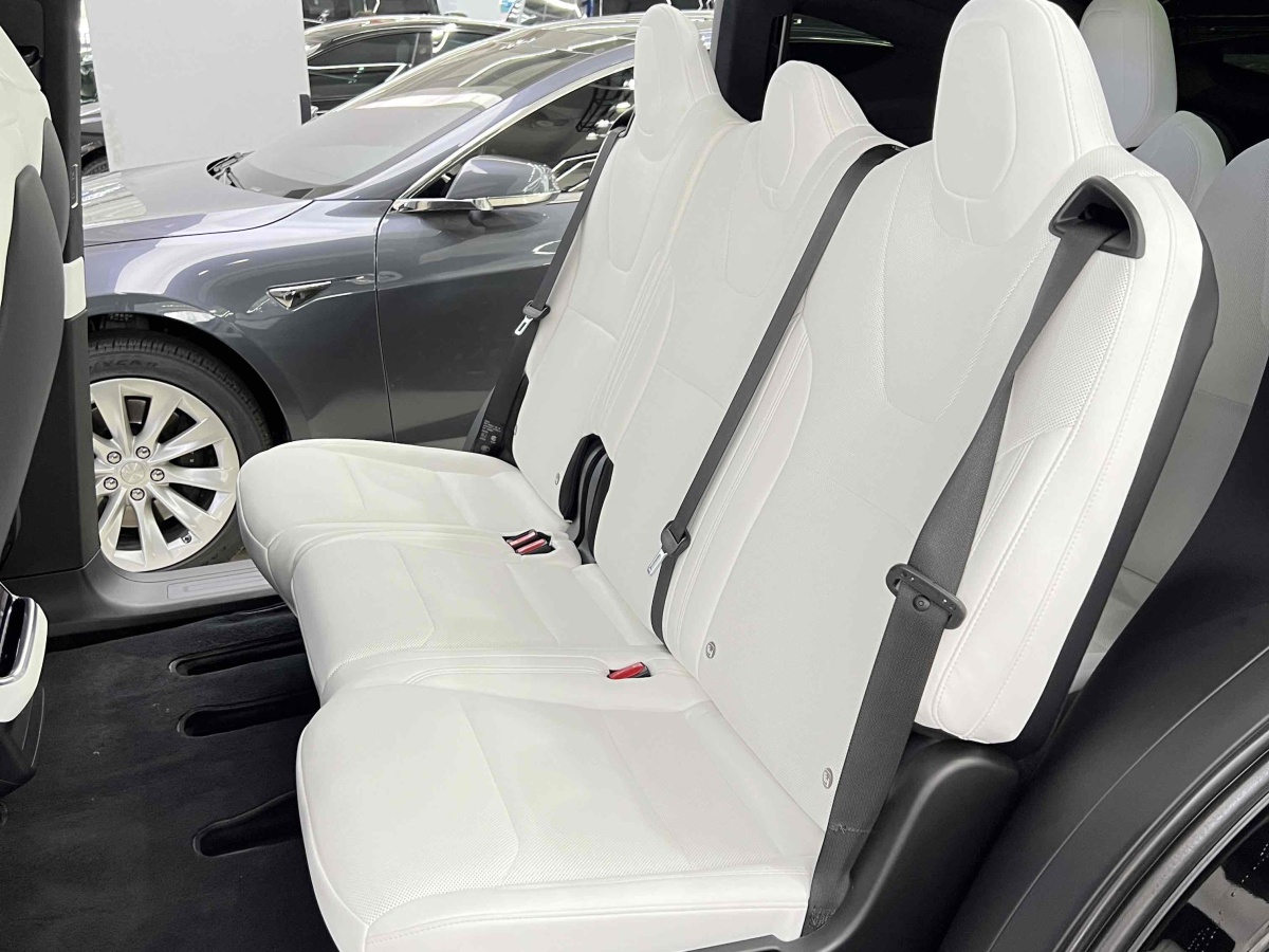 特斯拉 Model X  2023款 双电机全轮驱动版图片