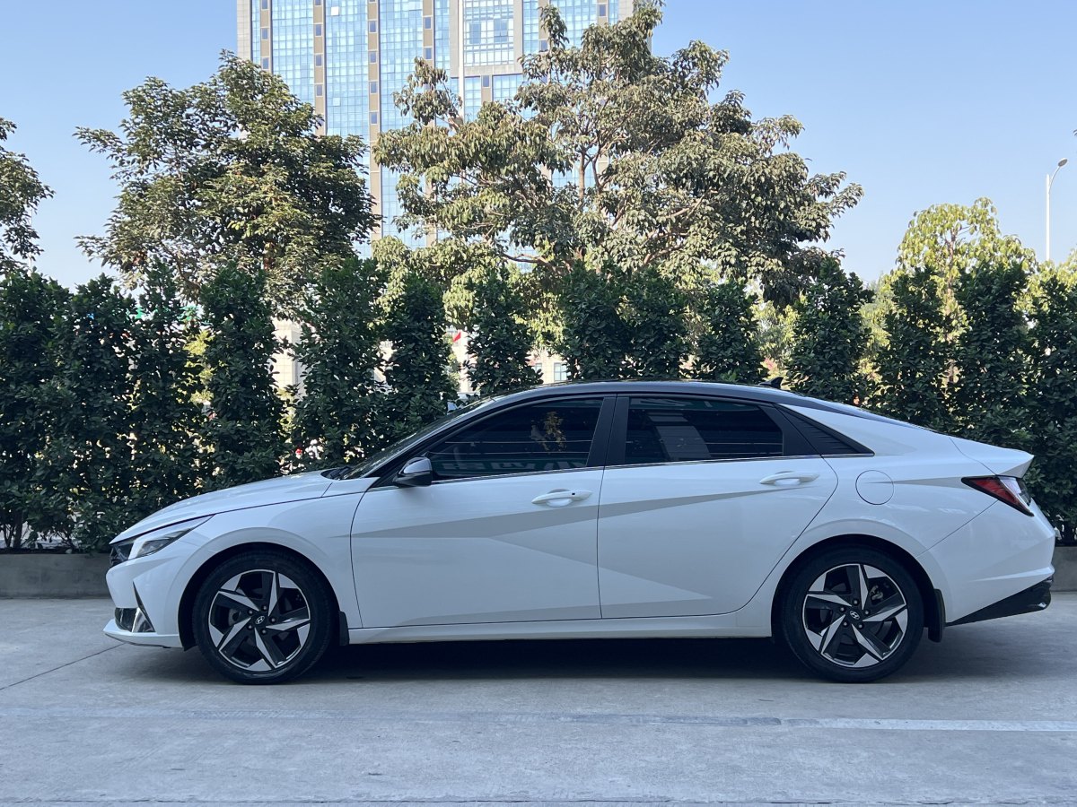 現(xiàn)代 伊蘭特  2023款 240TGDi DCT N Line LUX尊貴版圖片